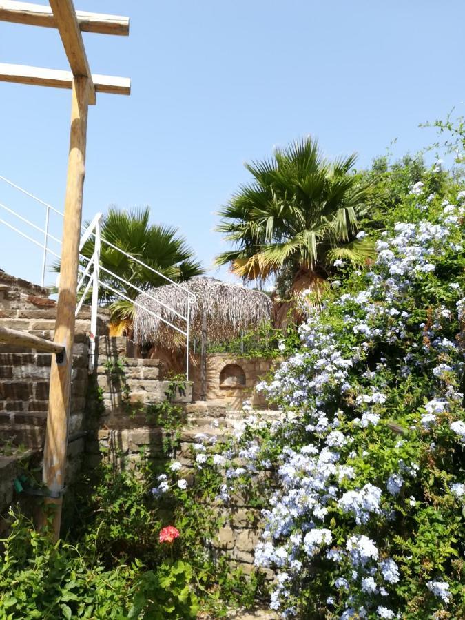 Lemon Tree Cottage Finikounta Exterior photo